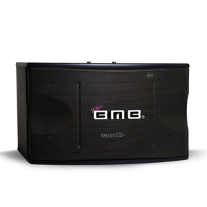 CS - 550 V MKII PRO (12'') / 2pcs