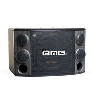 CS - 1000 R (12'') / 2pcs